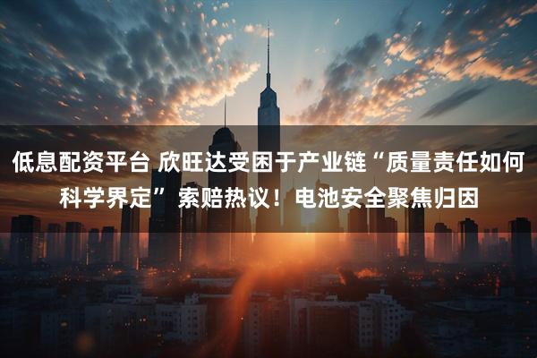 低息配资平台 欣旺达受困于产业链“质量责任如何科学界定” 索赔热议！电池安全聚焦归因