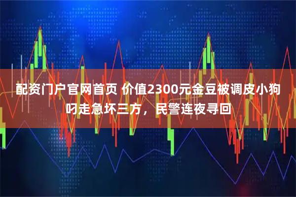 配资门户官网首页 价值2300元金豆被调皮小狗叼走急坏三方，民警连夜寻回