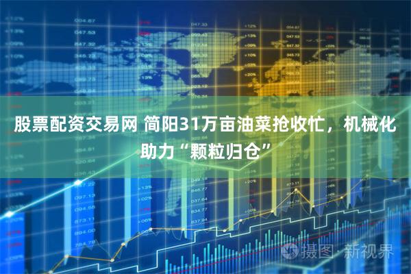 股票配资交易网 简阳31万亩油菜抢收忙，机械化助力“颗粒归仓”